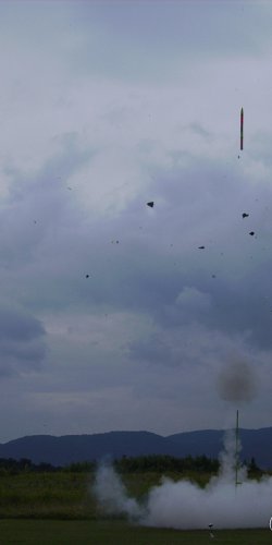 2013 Suche 29062013 Olivera